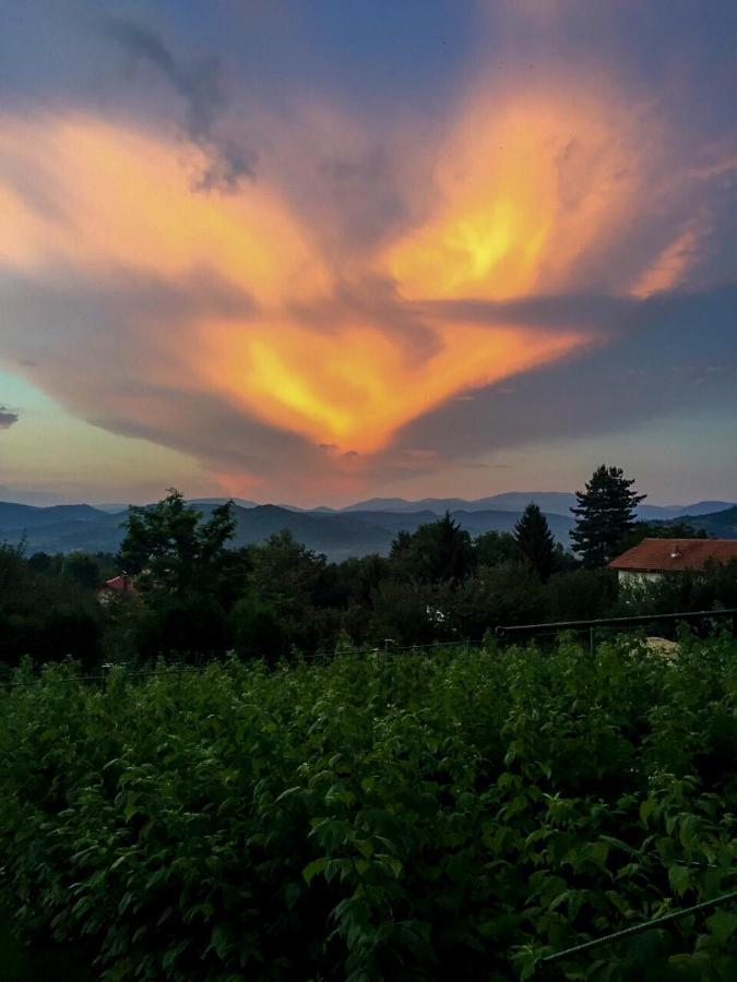 Merak Holiday Home Visoko Esterno foto